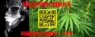 ПСИЛОЦИБИНОВЫЕ ГРИБЫ Чапаевск