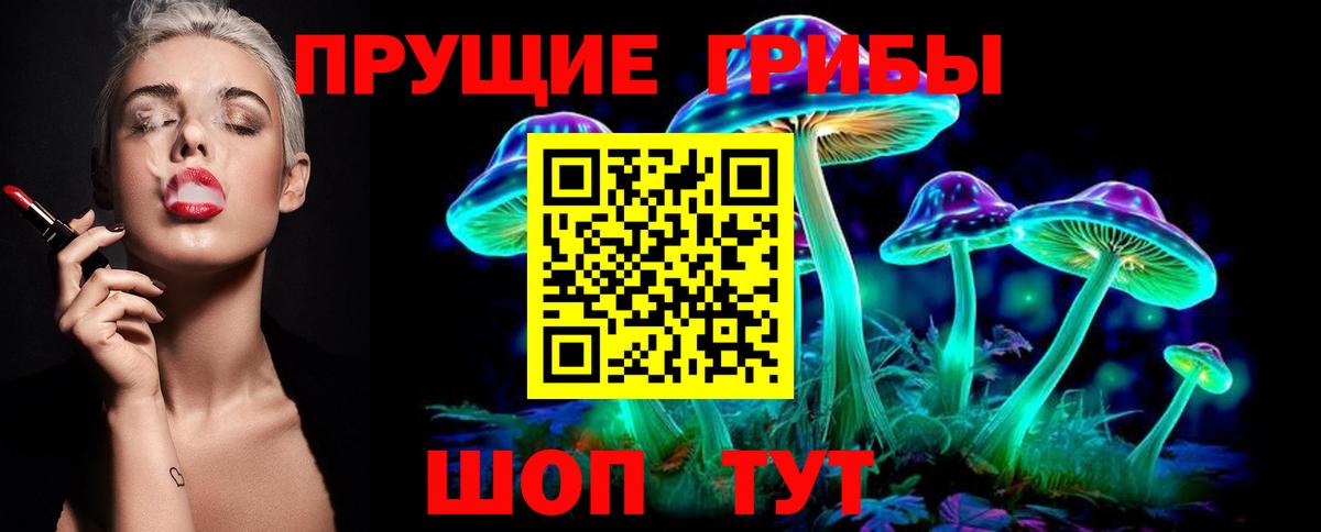 Псилоцибиновые грибы Magic Shrooms  Вход с VPN  Псилоцибиновые грибы Psilocybine cubensis  Чернушка 